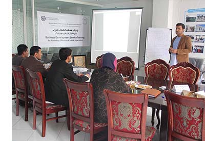 Business Development Services Training
